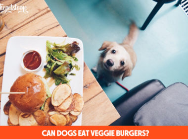 Can Dogs Eat Veggie Burgers?