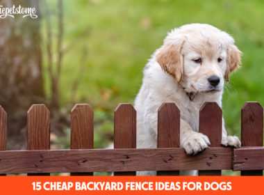 15 Cheap Backyard Fence Ideas For Dogs