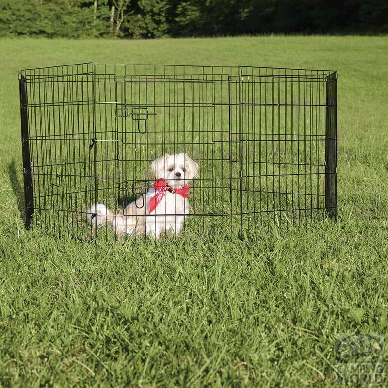 small dog fence