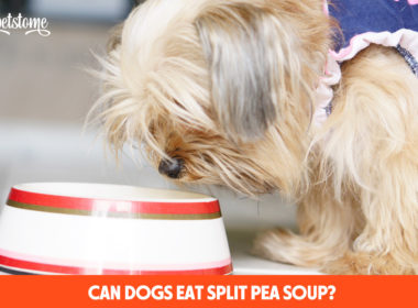 Can Dogs Eat Split Pea Soup?