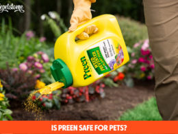 Is Preen Safe For Pets?