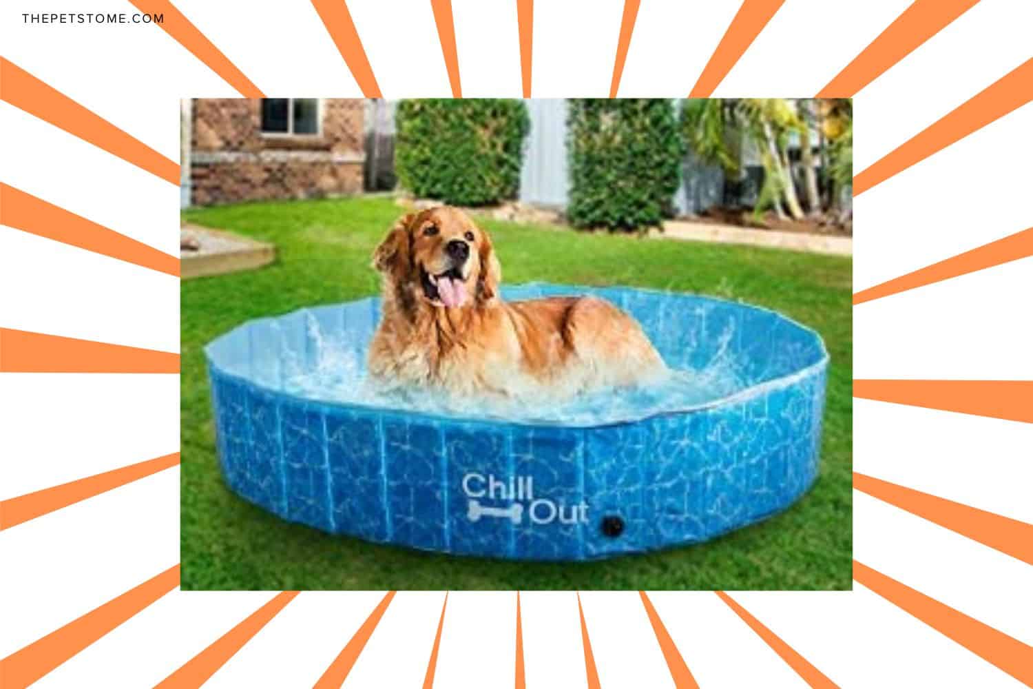 ALL FOR PAWS Dog Swimming Pool