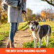 The Best Dog Walking Gloves