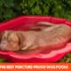 The Best Puncture-Proof Dog Pools