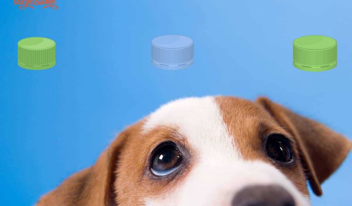Dog Swallowed Plastic Bottle Cap