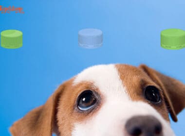Dog Swallowed Plastic Bottle Cap