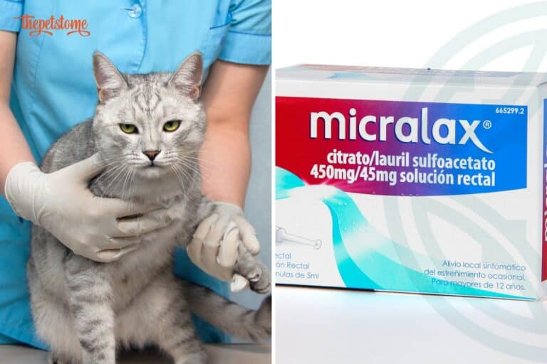 Can Micralax Kill A Cat
