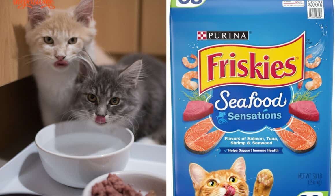 Is Friskies Good For Kittens