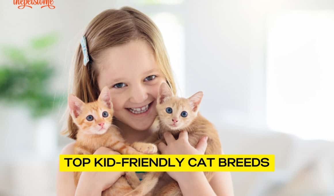 Kid-Friendly Cat Breeds