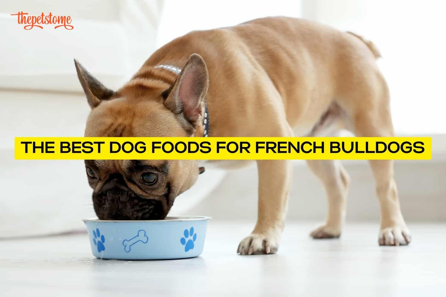 The Best Dog Foods For French Bulldogs (2024) ThePetsTome