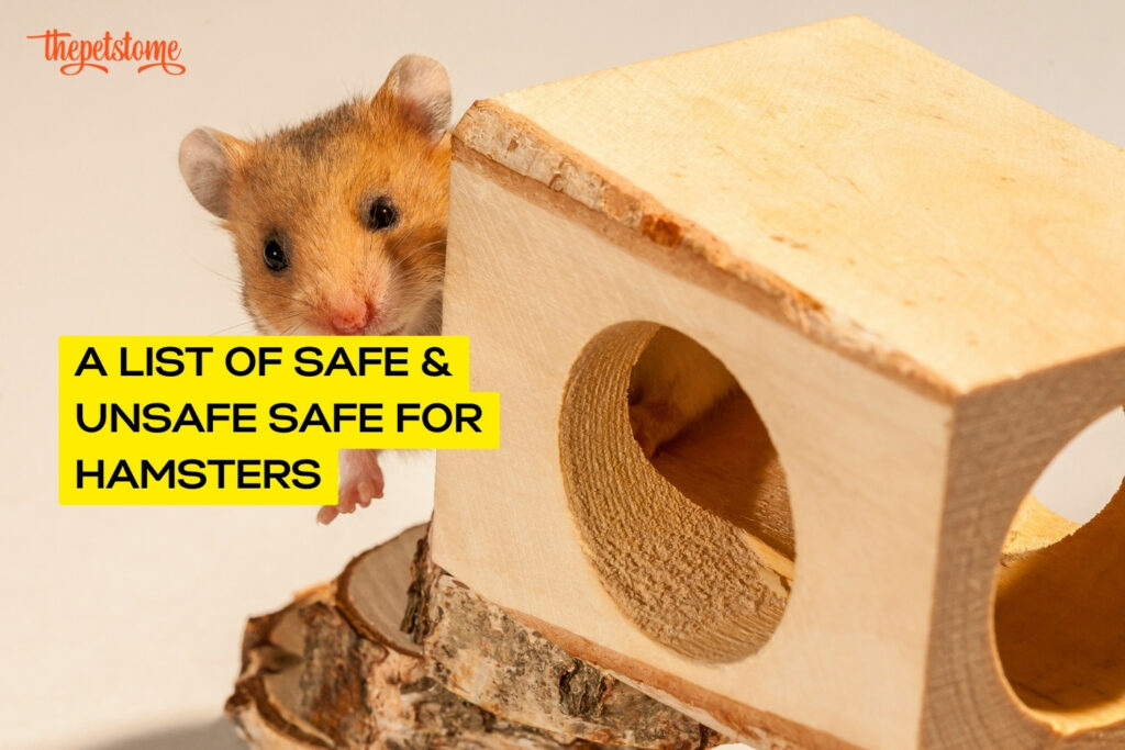 Home Safety Checklist for Cat & Dog Owners | ThePetsTome - Hamster Pet Safety Kit