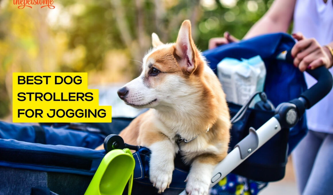Best Dog Strollers For Jogging