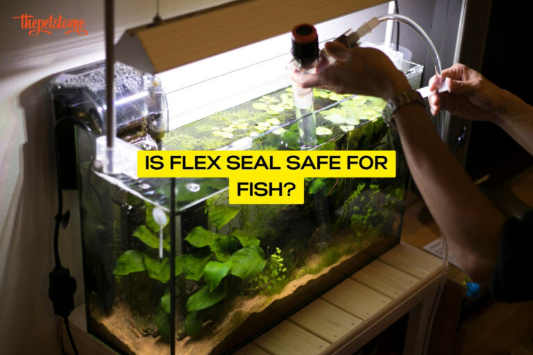 Is Flex Seal Safe For Fish