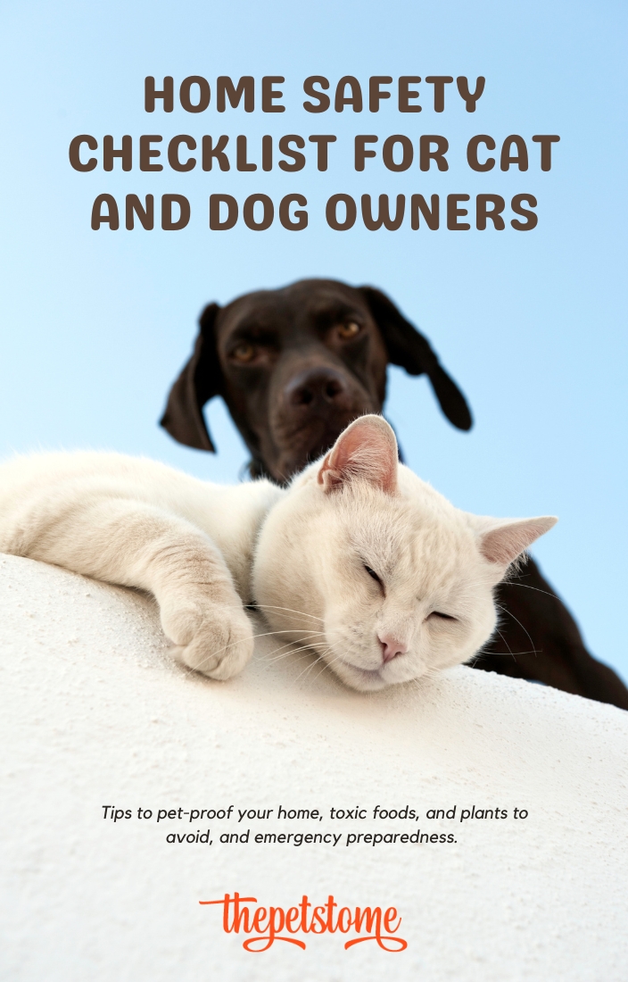 Home Safety Checklist for Cat and Dog Owners