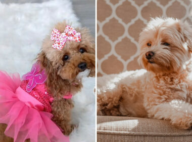 Malitipoo picking out outfit