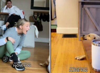 Dog learns how to say i love you