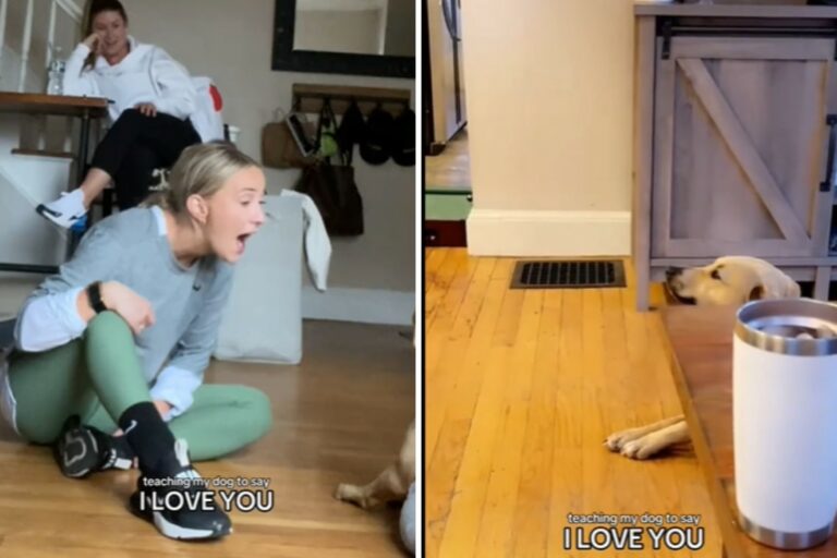 Dog learns how to say i love you